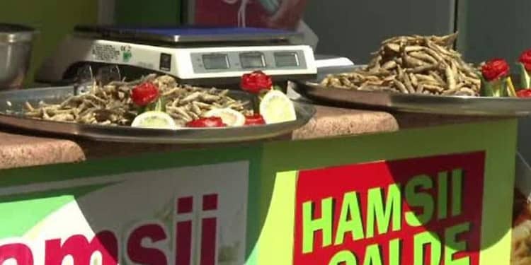 Prețuri mari pe litoral. Românii au ajuns să cumpere caviar, că nu-și permit hamsii
