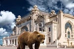 Panică la Constanţa după ce un angajat ISU a auzit că vine Ursula şi a dat Ro-Alert de urs