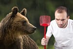 Caracalean rănit după ce a încercat să îndepărteze un urs cu pliciul de muște