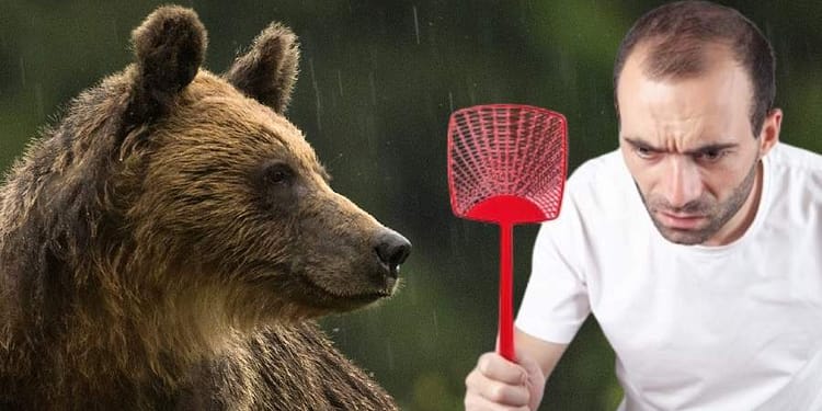 Caracalean rănit după ce a încercat să îndepărteze un urs cu pliciul de muște