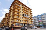 Miracol! Pe locul unui copac doborât de vânt a răsărit un ansamblu imobiliar