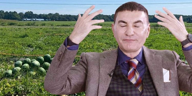 Cristi Borcea a ciocănit un pepene să vadă dacă e dulce şi acum are 9 pepeni mici