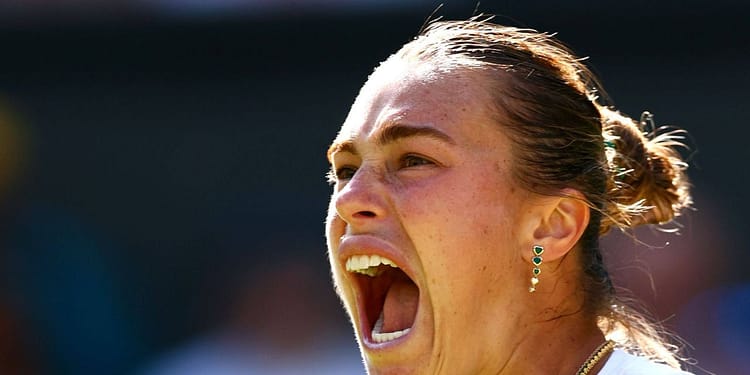 Bani cu lopata! Ce premii sunt puse în joc la US Open 2025