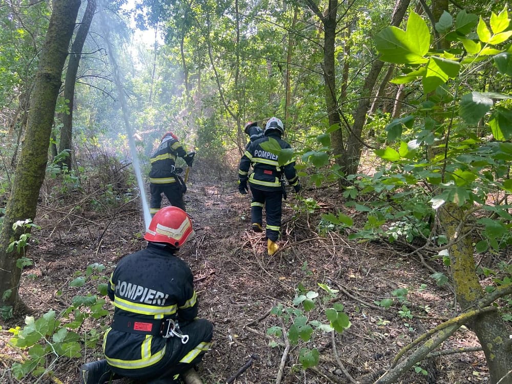 Pompierii luptă cu 16 incendii majore în șase județe FOTO: IGSU