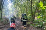 Pompierii luptă cu 16 incendii majore în șase județe: peste 1.000 de hectare afectate