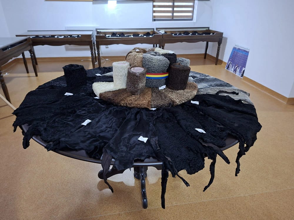 Pielicele de karakul de Botoșani FOTO Cosmin Zamfirache