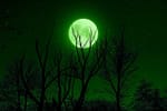 Luna Plină a Zăpezii din 12 februarie. Spectacol nocturn și semnificații străvechi