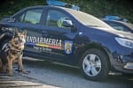 Un bărbat a provocat haos la Palatul Parlamentului: „Stegarul dac” a escaladat gardul și a primit o amendă usturătoare