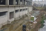 Imagini ca după război la malul mării. Sala Sporturilor din Constanța, o ruină năpădită de buruieni