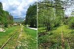 Mocănița oltenească: legendarul tren care ar putea deveni unica atracție de acest fel de la sud de Carpați. „Mocănițele României”