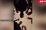 Noi imagini cu bucuria lui FCSB de la Cluj. Cum au primit fanii roș-albaștrilor vestea câștigării titlului