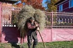 ​​Ce înapoiat! În Apuseni trăiește ultimul român care se duce la WC fără telefon
