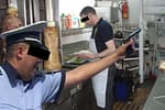 Percheziţii în şapte şaormerii împotriva unei reţele extremiste care punea pătrunjel
