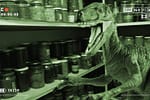 Pensiunile din Haţeg, terorizate de un dinozaur care intră în cămară şi fură borcane