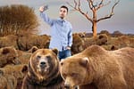Pedepse dure! Șoferii care opresc să filmeze urși vor avea Tik Tok-ul suspendat șase luni