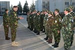 Întrebare de bun-simț. Cum ne apără MApN de ruși, când nu ne apără nici măcar de țânțari?