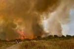 Flăcări uriașe în Târgu Jiu. Incendiul s-a extins rapid pe mai multe sute de hectare