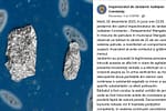 Jandarmeria Constanța şi-a luat microscop şi se laudă cu o captură de 0,0001 g de iarbă