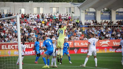 FC Botoșani