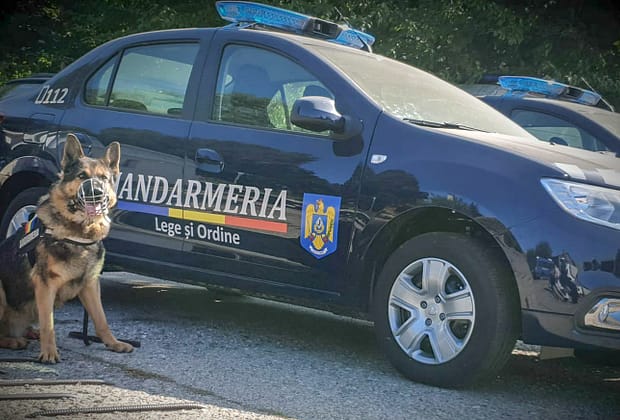 Un bărbat a provocat haos la Palatul Parlamentului: „Stegarul dac” a escaladat gardul și a primit o amendă usturătoare