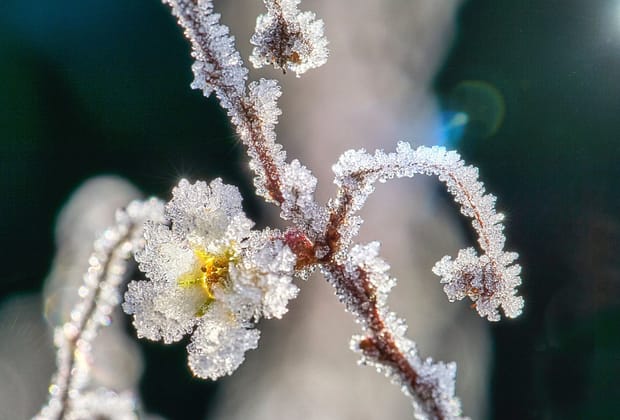 Fenomenul neobișnuit care a provocat alunecarea vortexului polar spre Europa. Vremea se va răci brusc, deși suntem în aprilie