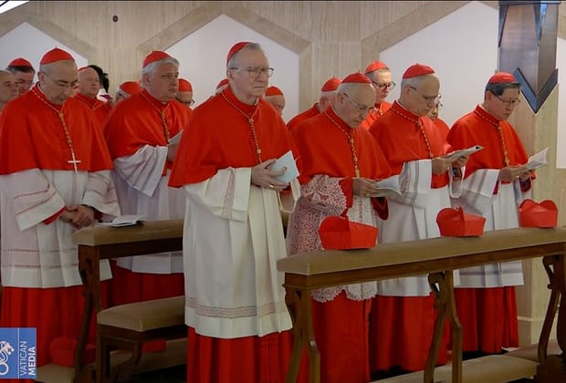 La Vatican se anunță un conclav fără precedent în istoria recentă a Bisericii Catolice. Un papă african ar fi „o inspirație pentru întreaga lume catolică”