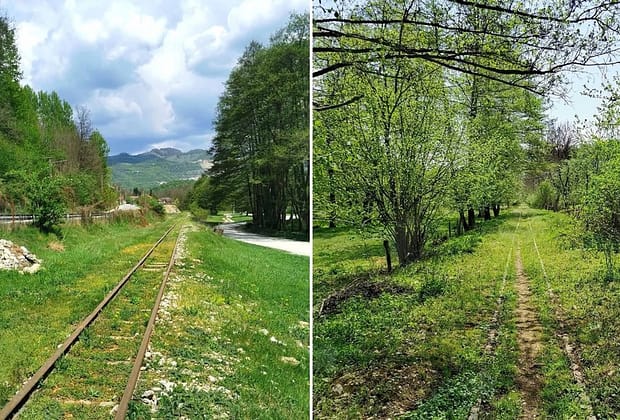 Mocănița oltenească: legendarul tren care ar putea deveni unica atracție de acest fel de la sud de Carpați. „Mocănițele României”