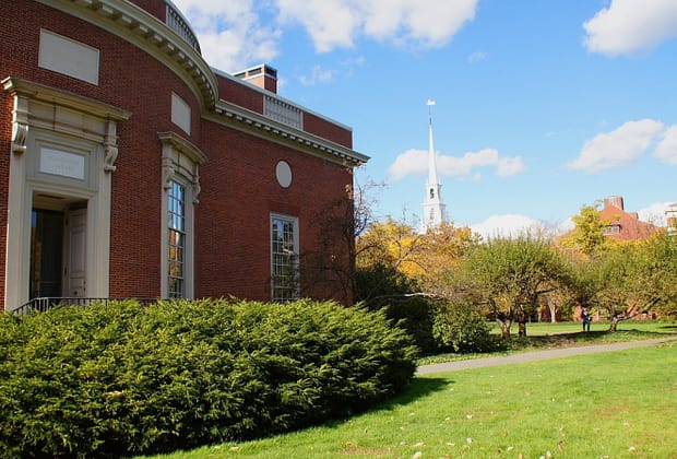 Studenții români de la Harvard trăiesc în incertitudine, după ce Trump a anunțat că îi vrea afară din Universitate. „Avem o teamă reală pentru viitorul nostru”