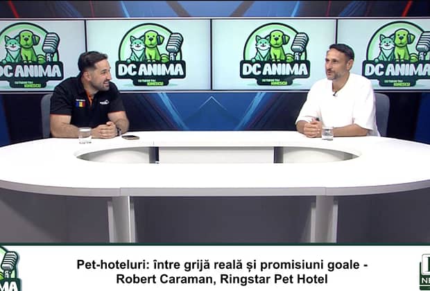 Pleci în concediu și n-ai idee ce să faci cu animalul tău de companie? Robert Caraman are răspunsul / video