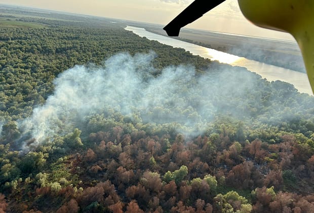 Incendiu de vegetație la Chilia Veche. Elicopterul Black Hawk, trimis să intervină