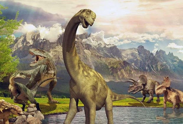 Dovedit științific. Dinozaurii aveau pene, dar știați că ouăle lor aveau păr?