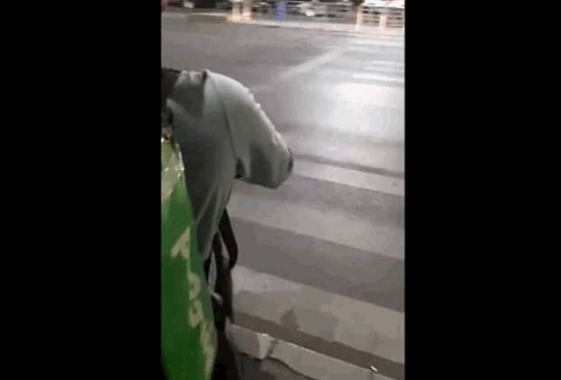 Cum explică un psiholog atacul asupra livratorului nepalez