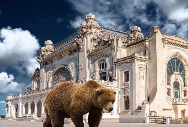 Panică la Constanţa după ce un angajat ISU a auzit că vine Ursula şi a dat Ro-Alert de urs