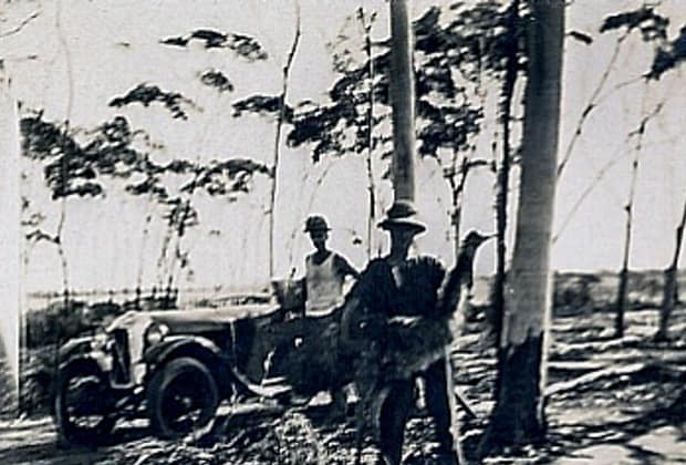 Cele mai bizare și penibile războaie din istoria umanității. Când armatele au fost învinse de păsări și găleți