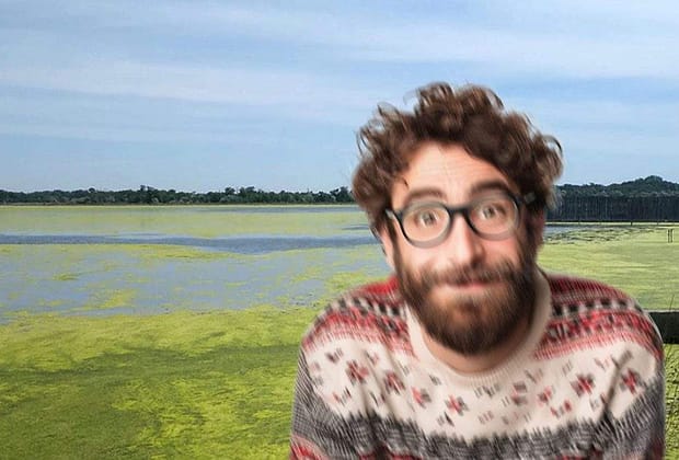 Lacul Herăstrău, plin de mătasea broaştei, băut de hipsteri care credeau că e matcha