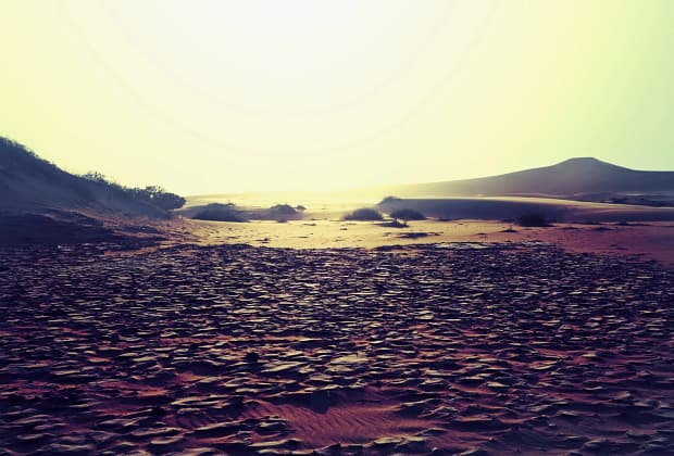 Seceta a crescut preţul terenurilor agricole irigabile sau compacte