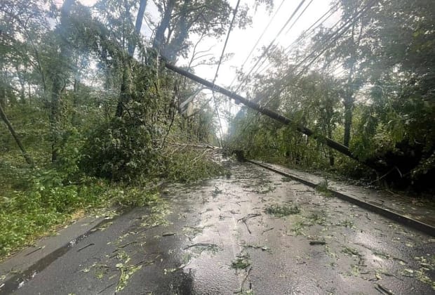 VIDEO FOTO Vremea extremă a făcut prăpăd în mai multe zone din țară, inclusiv în Capitală: ninsori, copaci doborâți de vânt, drumuri blocate și mașini avariate