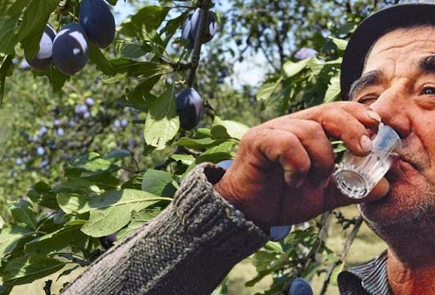 În sfârșit! Codul Penal adoptă prunicidul – când faci din prune magiun în loc de pălincă