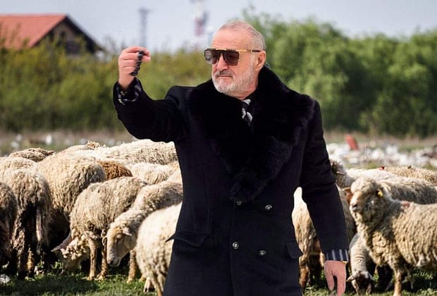 Becali, controlat de ANAF! S-a descoperit că plătește oile mai bine decât jucătorii FCSB