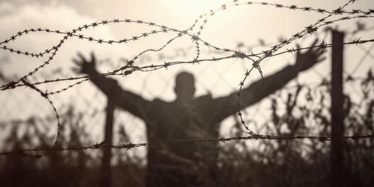 Cum arată după teroare cei 3 ostatici eliberați de Hamas azi: „Pare că au îmbătrânit 20 de ani în câteva luni” / Foto în articol