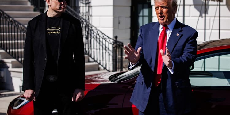 Peste 1.000 de proteste, în SUA și Europa, împotriva lui Trump și Musk / „Feministe pentru libertate”, „Deportați-l pe Musk”