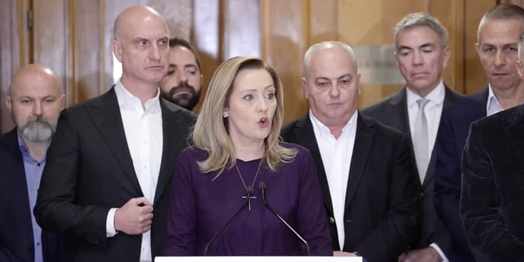Elena Lasconi propune închiderea Tik-Tok înainte de alegerile prezidențiale