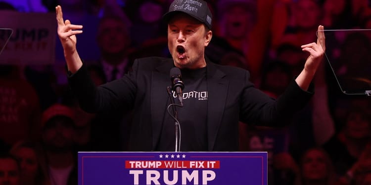 De ce nu va putea candida Elon Musk la următoarele alegeri prezidențiale în SUA. Același motiv l-a împiedicat și pe Arnold Schwarzenegger
