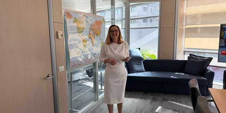 Alegeri prezidențiale 2025. Reportaj cu Regele Lear: Exit-poll-urile așteptate în singurătate de Elena Lasconi, candidata care a luat 1,7 milioane de voturi acum 5 luni