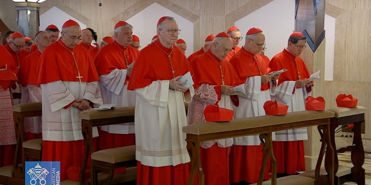 La Vatican se anunță un conclav fără precedent în istoria recentă a Bisericii Catolice. Un papă african ar fi „o inspirație pentru întreaga lume catolică”