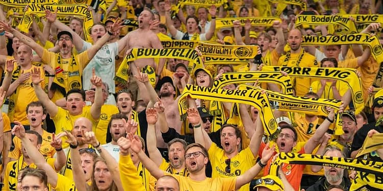 Fanii lui Bodo/Glimt fac orice pentru un bilet la returul cu Tottenham! Schimburi cu delicatese norvegiene și carne de ren: „Cineva a mușcat momeala!”