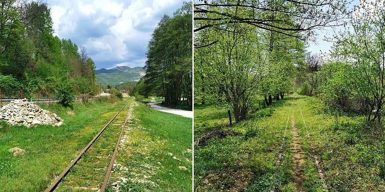 Mocănița oltenească: legendarul tren care ar putea deveni unica atracție de acest fel de la sud de Carpați. „Mocănițele României”
