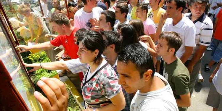Bacalaureat 2025: Modele de subiecte la matematică