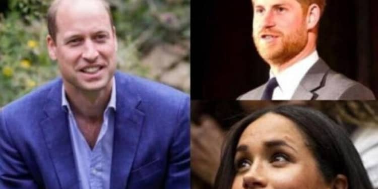 Gestul Prințului William care ar putea reaprinde conflictul cu Prințul Harry. Atac indirect la Meghan Markle