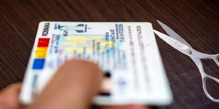 Cererea lui Simion, respinsă de CCR pentru că și-a tăiat buletinul de ciudă că a pierdut